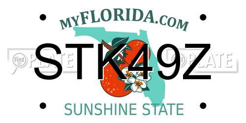 STK49Z Florida License Plate