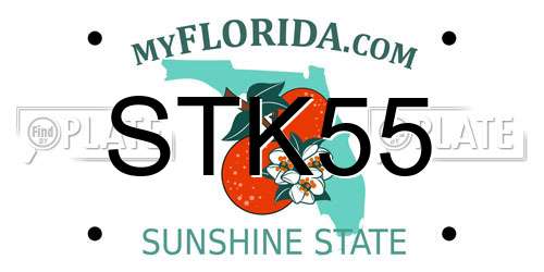 STK55 Florida License Plate