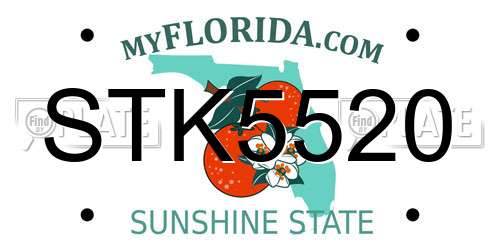 STK5520 Florida License Plate
