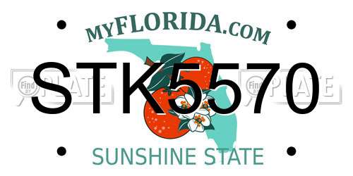 STK5570 Florida License Plate