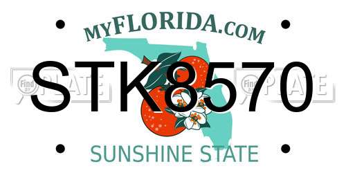 STK8570 Florida License Plate