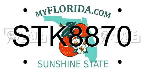 STK8870 Florida License Plate