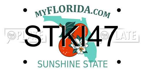 STKI47 Florida License Plate