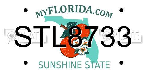 STL8733 Florida License Plate