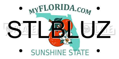 STLBLUZ Florida License Plate