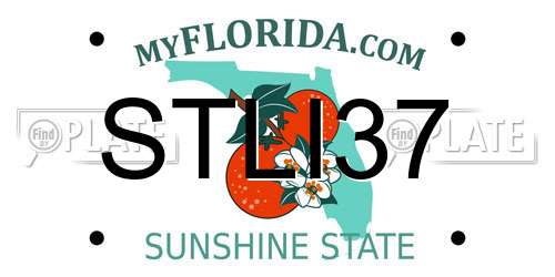 STLI37 Florida License Plate