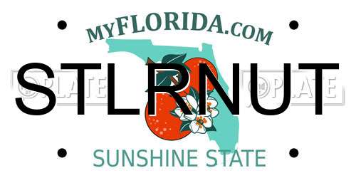 STLRNUT Florida License Plate