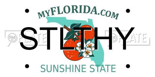 STLTHY Florida License Plate