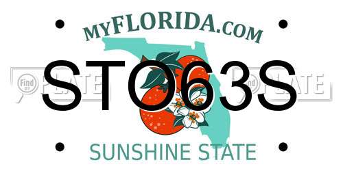 STO63S Florida License Plate