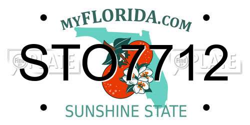 STO7712 Florida License Plate
