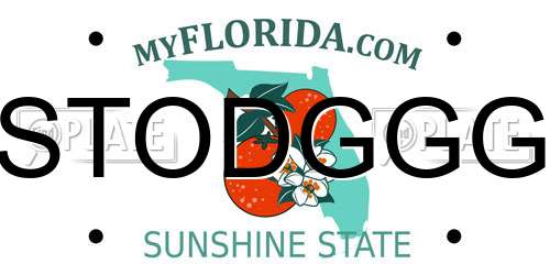 STODGGG Florida License Plate