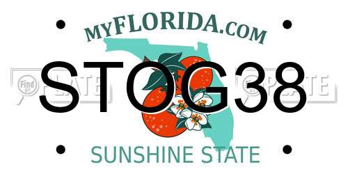 STOG38 Florida License Plate