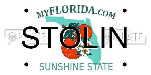 STOLIN Florida License Plate