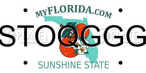 STOQGGG Florida License Plate