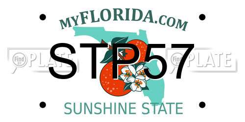 STP57 Florida License Plate