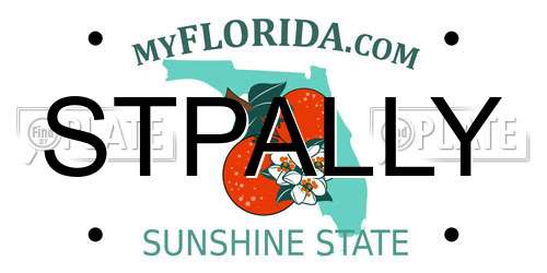 STPALLY Florida License Plate