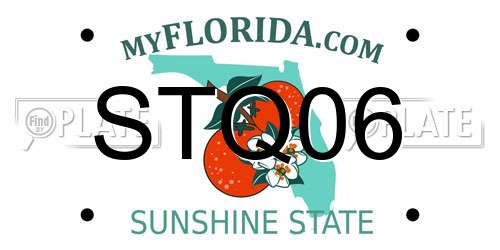 STQ06 Florida License Plate
