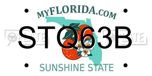 STQ63B Florida License Plate
