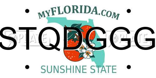STQDGGG Florida License Plate