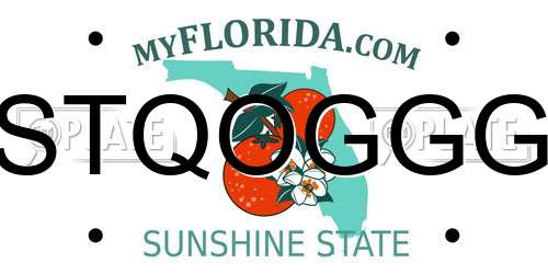 STQOGGG Florida License Plate