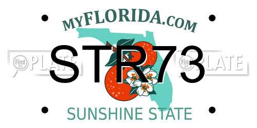 STR73 Florida License Plate