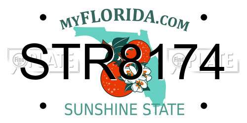 STR8174 Florida License Plate