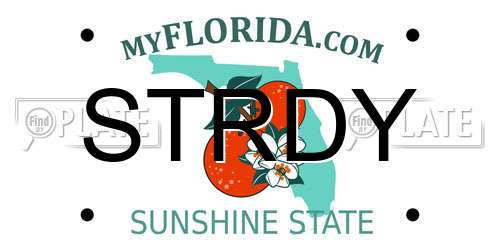STRDY Florida License Plate