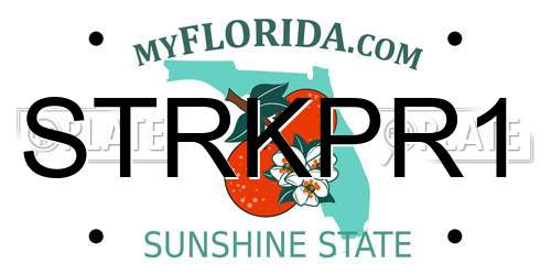 STRKPR1 Florida License Plate