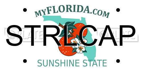 STRLCAP Florida License Plate