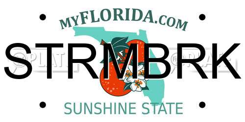 STRMBRK Florida License Plate