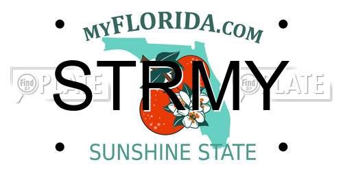 STRMY Florida License Plate