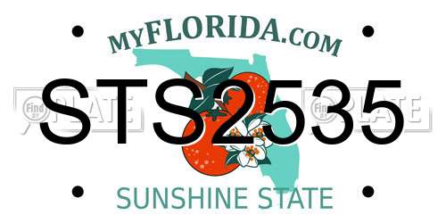 STS2535 Florida License Plate