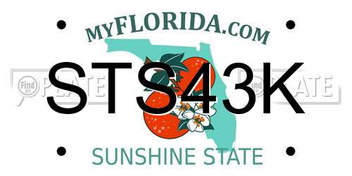STS43K Florida License Plate