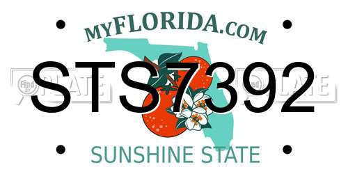 STS7392 Florida License Plate