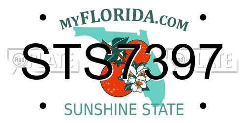 STS7397 Florida License Plate