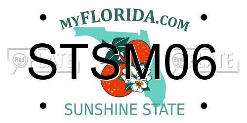 STSM06 Florida License Plate