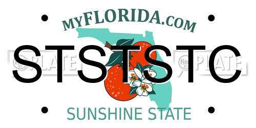 STSTSTC Florida License Plate