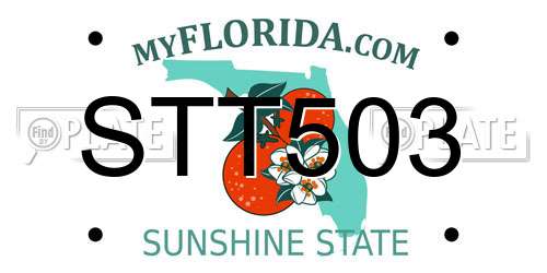 STT503 Florida License Plate