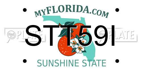 STT59I Florida License Plate