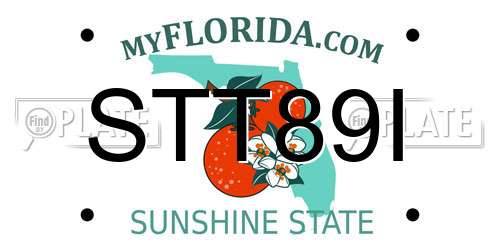 STT89I Florida License Plate