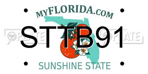 STTB91 Florida License Plate