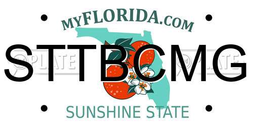 STTBCMG Florida License Plate