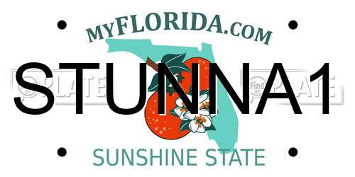 STUNNA1 Florida License Plate