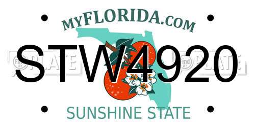 STW4920 Florida License Plate