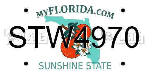 STW4970 Florida License Plate
