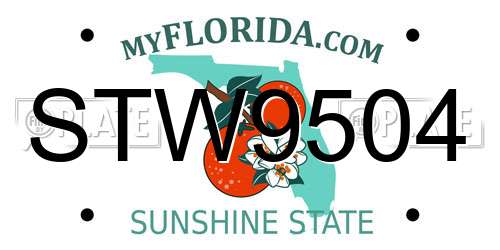 STW9504 Florida License Plate