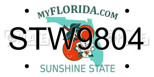 STW9804 Florida License Plate