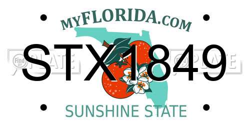 STX1849 Florida License Plate