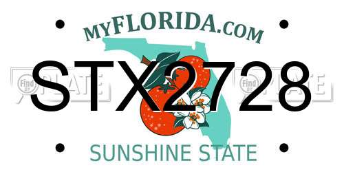 STX2728 Florida License Plate