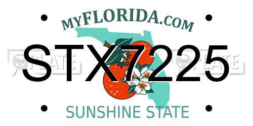 STX7225 Florida License Plate